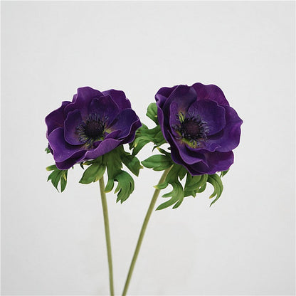 Genuine Touch Anemone