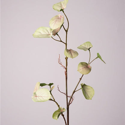 Monstera Deliciosa Plant Decor