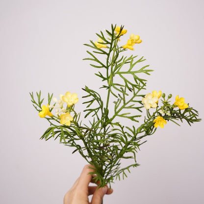 Faux Wintersweet Fern Sprig